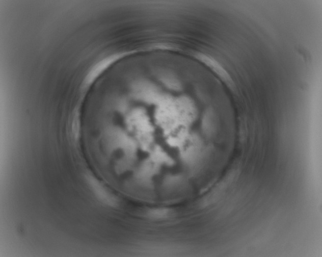 X0000115581031200911101143