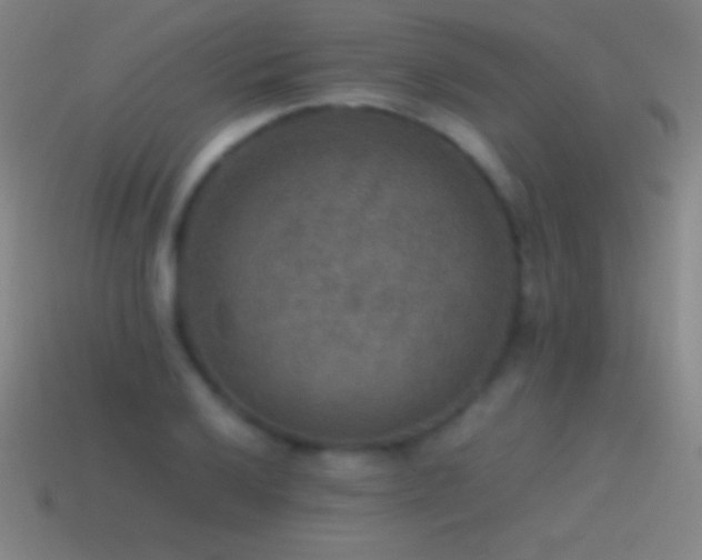 X0000115581032200911101143