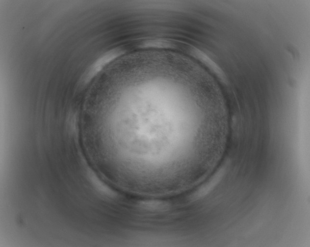 X0000115581033200911101143