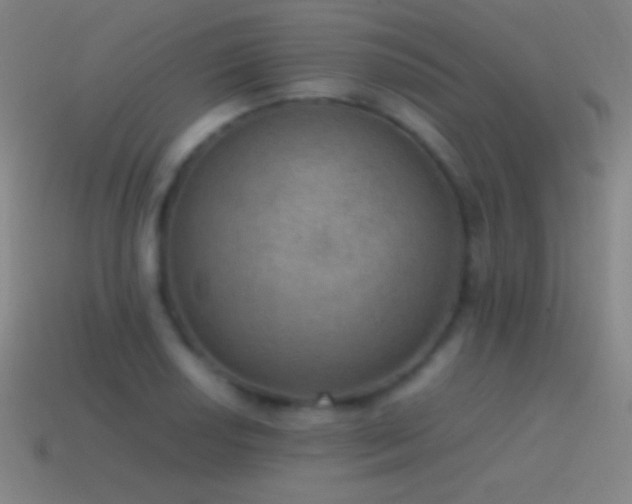 X0000115581034200911101143