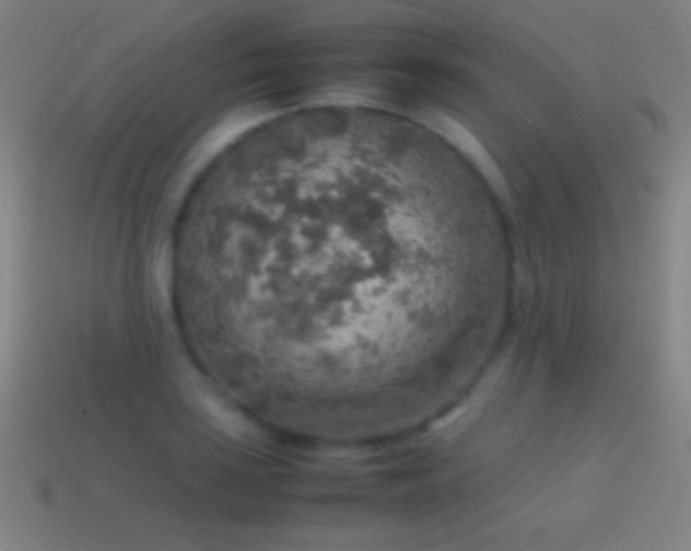 X0000115581035200911101143