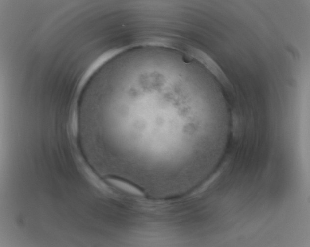 X0000115581036200911101143