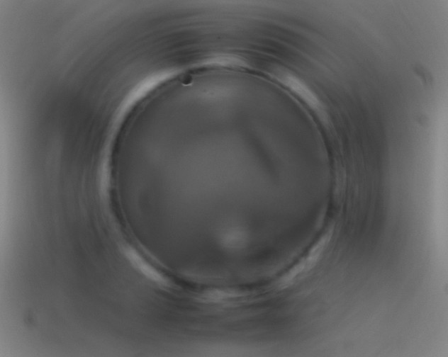 X0000115581037200911101143