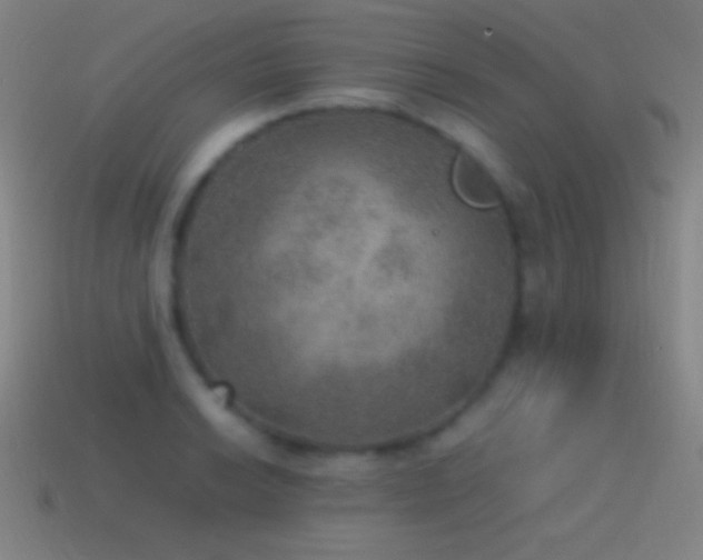 X0000115581038200911101143