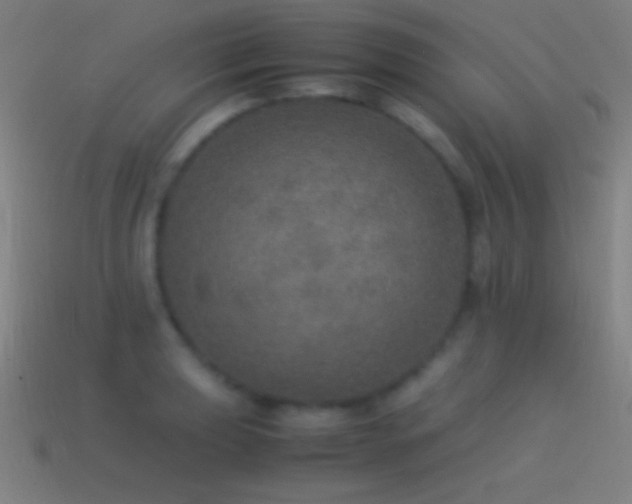 X0000115581039200911101143