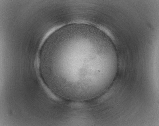 X0000115581040200911101143