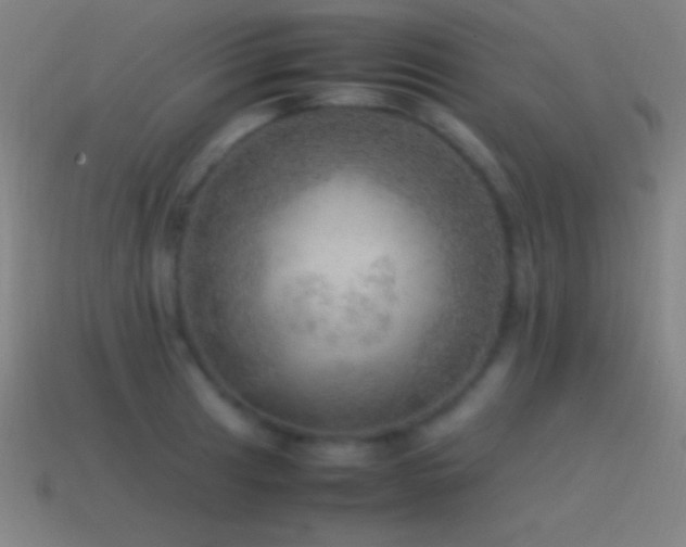 X0000115581041200911101143