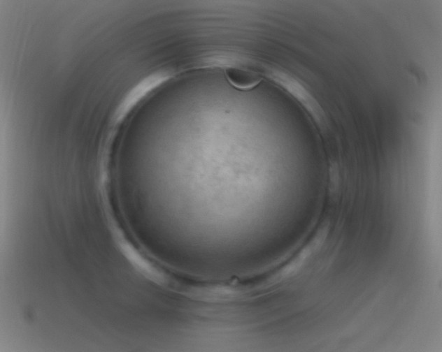 X0000115581042200911101143