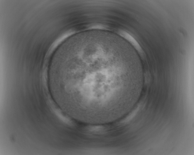 X0000115581043200911101144