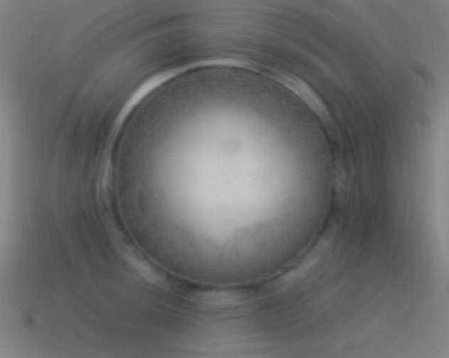 X0000115581044200911101144