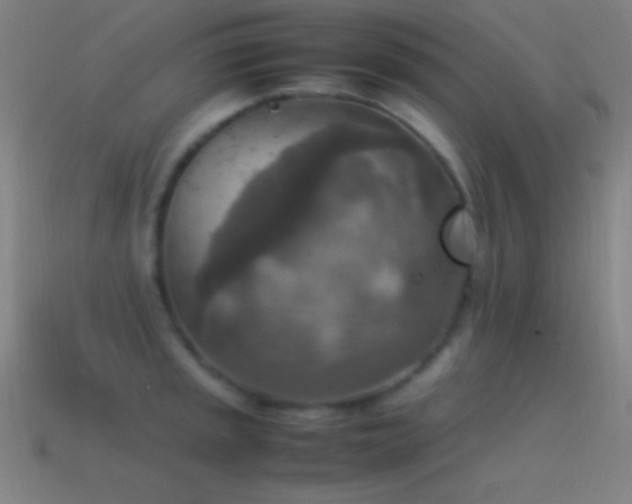 X0000115581045200911101144