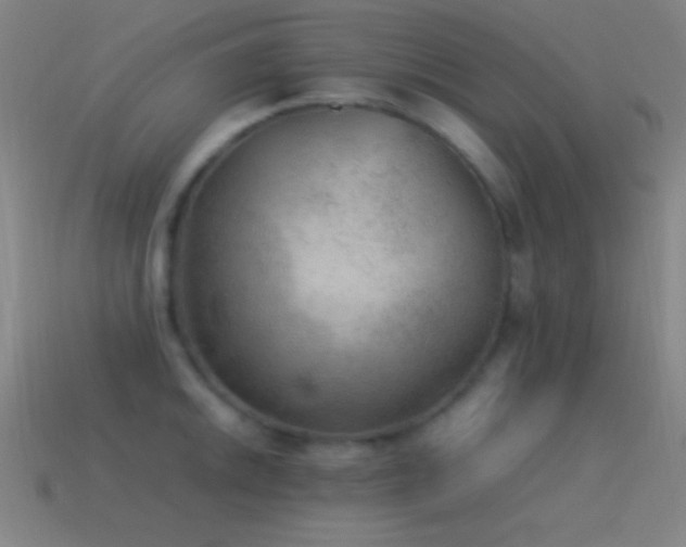 X0000115581046200911101144