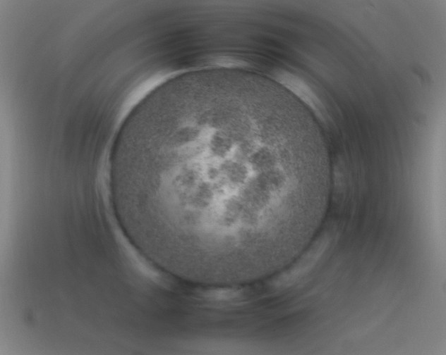 X0000115581047200911101144