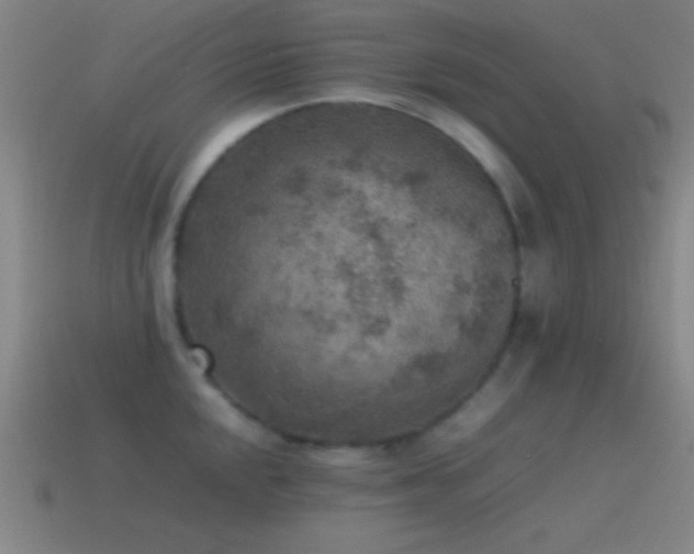 X0000115581048200911101144