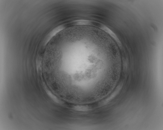 X0000115581049200911101144