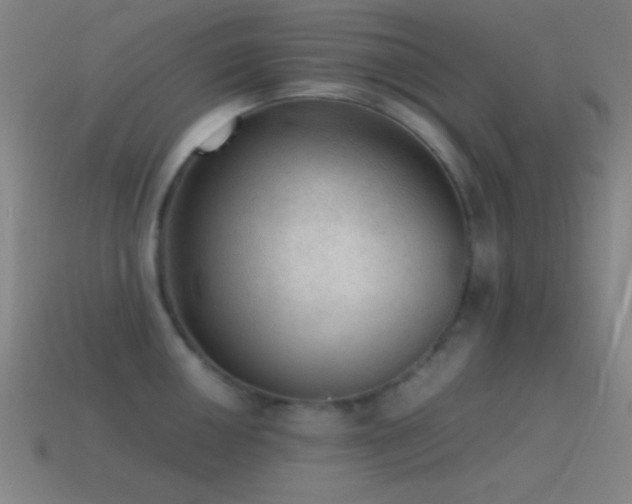 X0000115581050200911101144