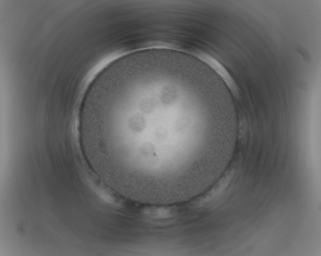 X0000115581051200911101144