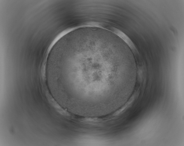 X0000115581052200911101144