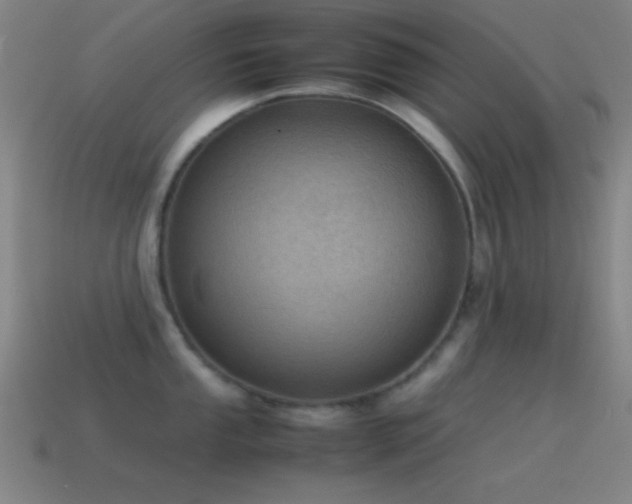 X0000115581053200911101144