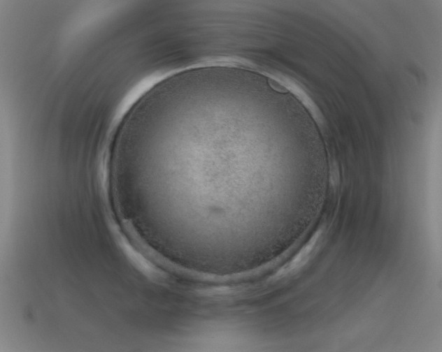 X0000115581054200911101144