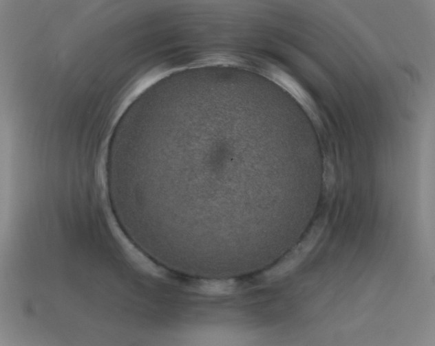 X0000115581055200911101144