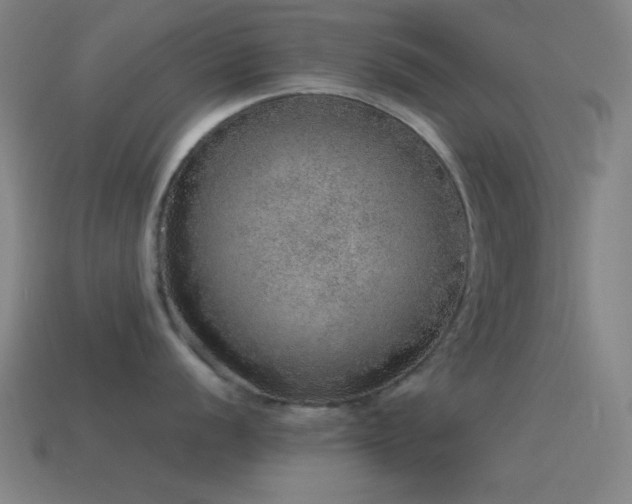 X0000115581056200911101144