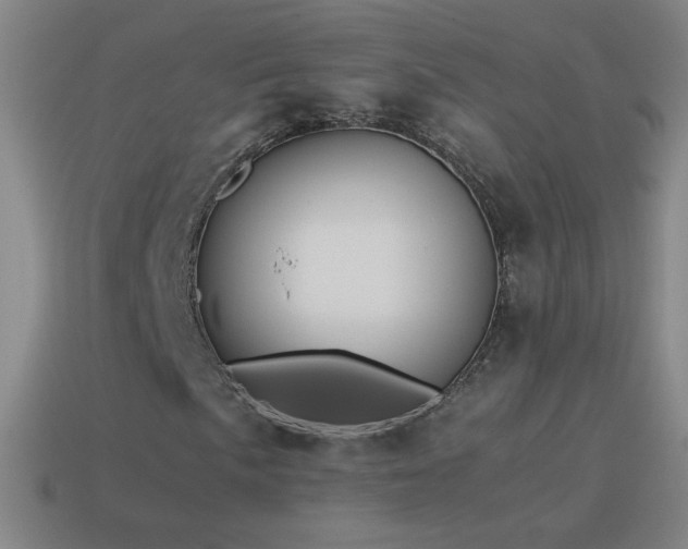 X0000115581057200911101143