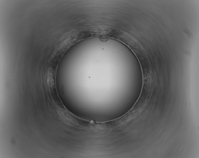 X0000115581058200911101143