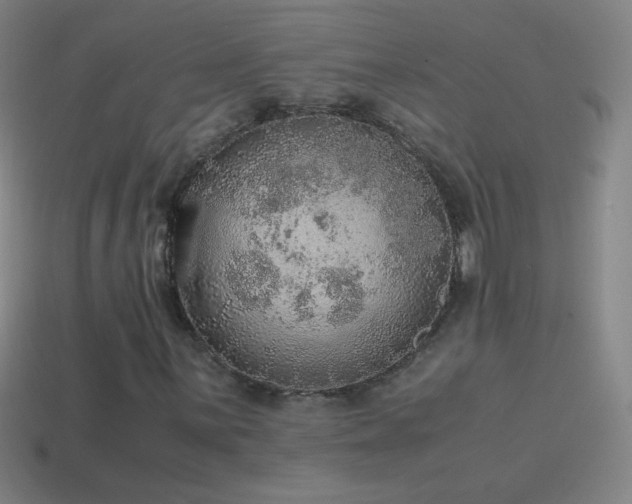 X0000115581059200911101143