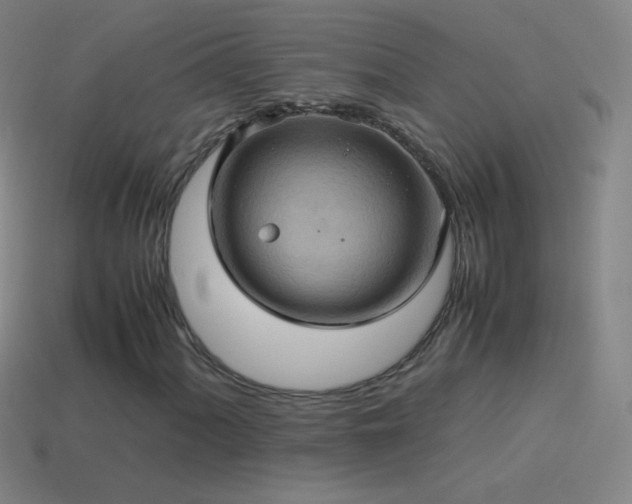 X0000115581060200911101143