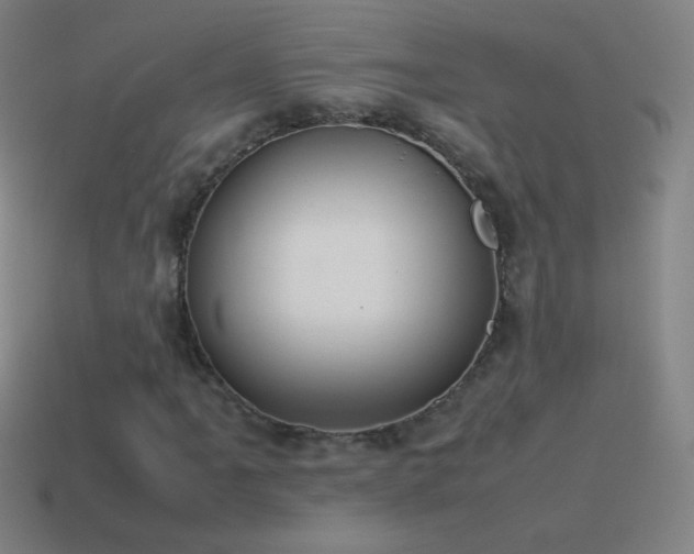 X0000115581061200911101143