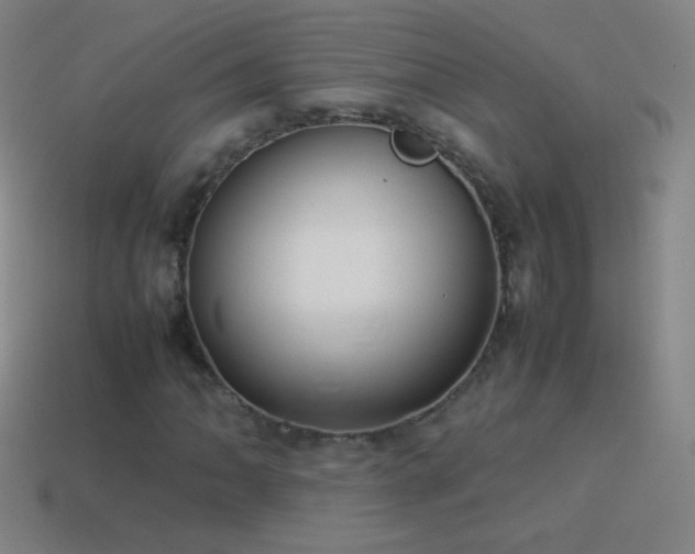 X0000115581062200911101143