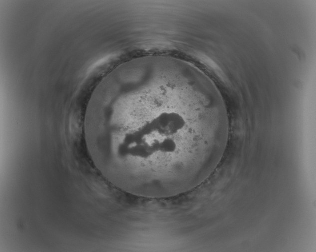 X0000115581063200911101143