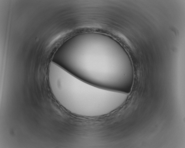 X0000115581064200911101143