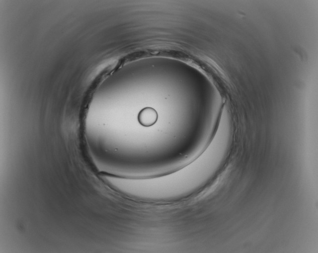 X0000115581065200911101143