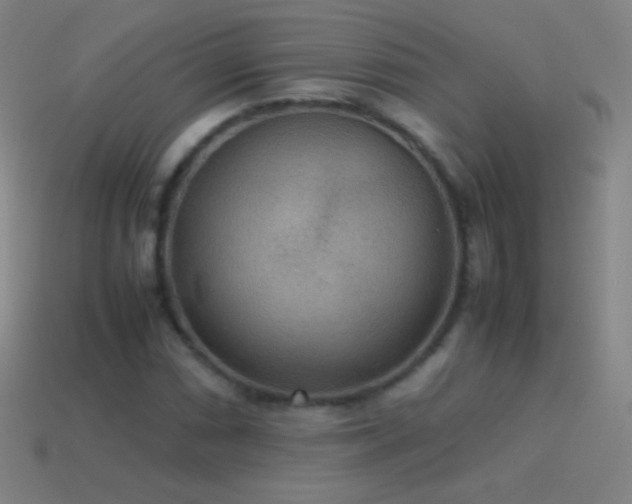 X0000115581066200911101143