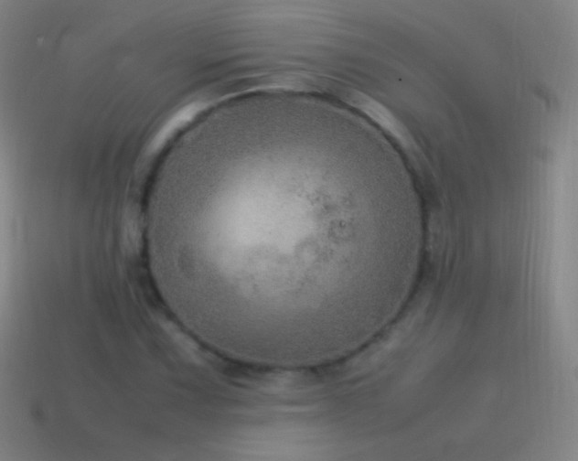 X0000115581067200911101143