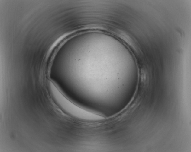 X0000115581068200911101143