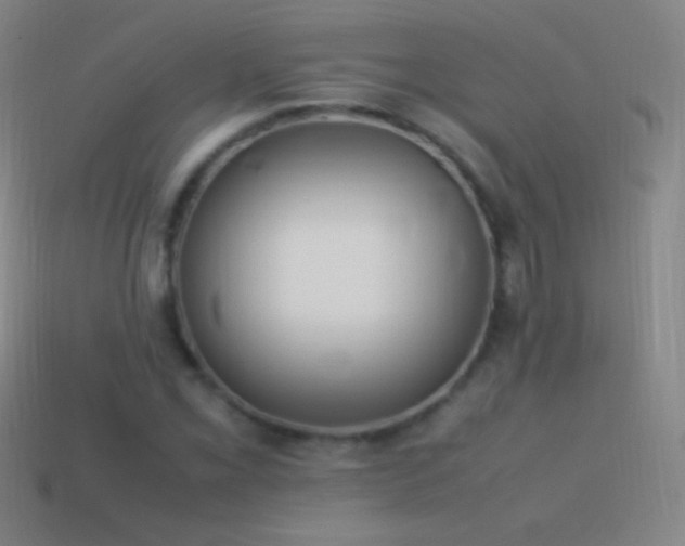 X0000115581069200911101143