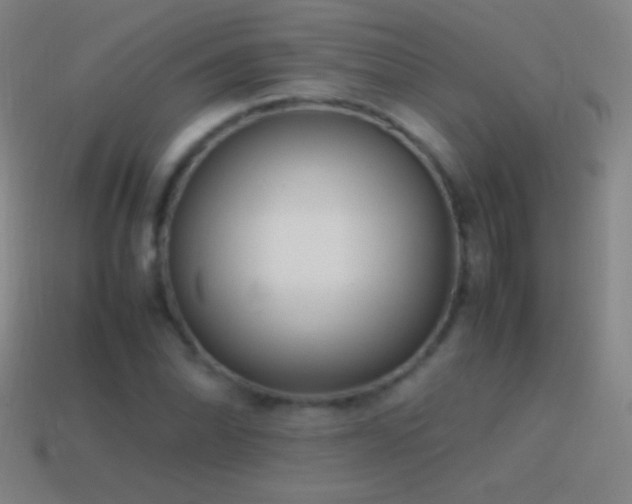 X0000115581070200911101143