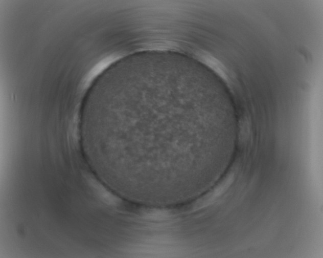 X0000115581071200911101143