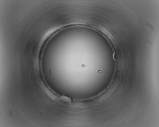 X0000115581072200911101143