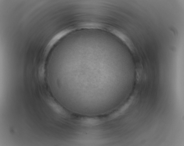 X0000115581074200911101143