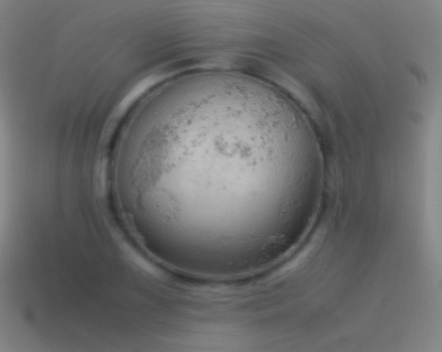 X0000115581075200911101143