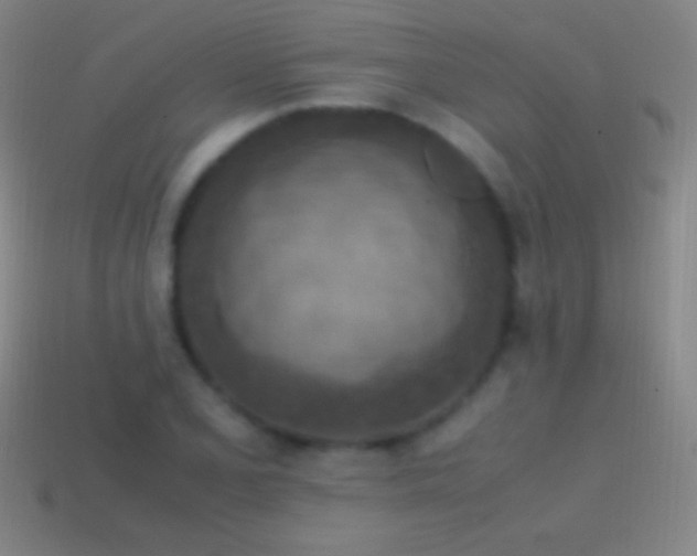 X0000115581077200911101143