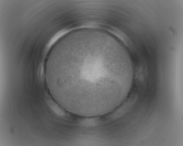 X0000115581078200911101143