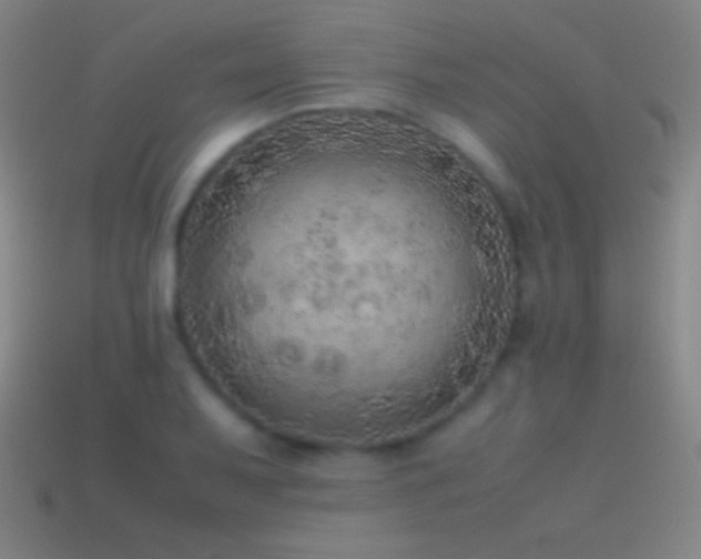 X0000115581079200911101143