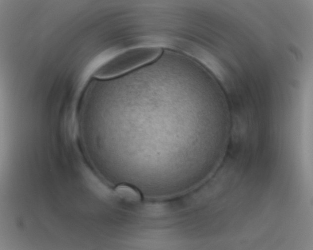 X0000115581080200911101143