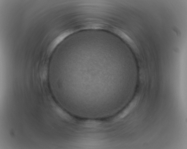 X0000115581081200911101143