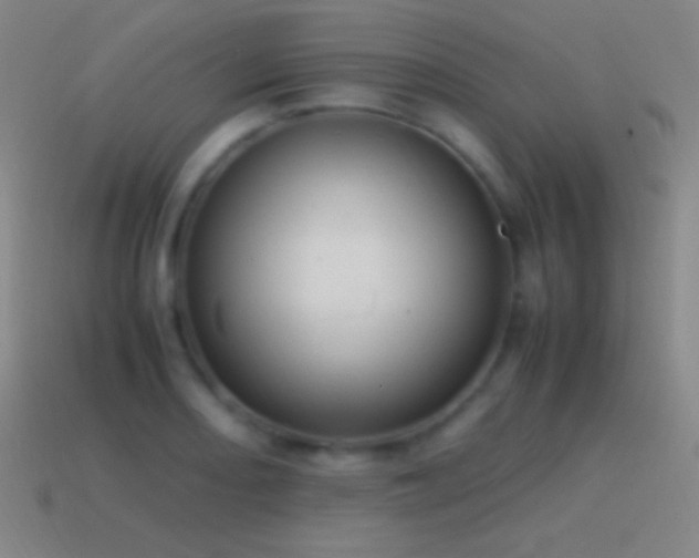 X0000115581082200911101143